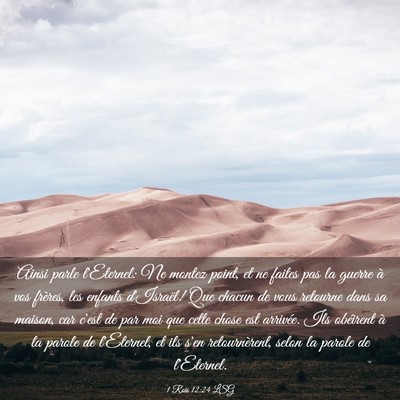 Picture 03 - 1 Rois 12:24 LSG - Ainsi parle l'Eternel: Ne montez point, et ne - Bible Verse Picture