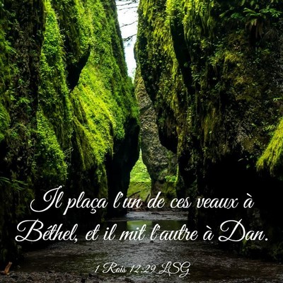 Picture 03 - 1 Rois 12:29 LSG - Il plaça l'un de ces veaux à Béthel, et il mit - Bible Verse Picture