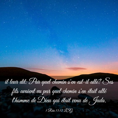 Picture 03 - 1 Rois 13:12 LSG - il leur dit: Par quel chemin s'en est-il allé? - Bible Verse Picture