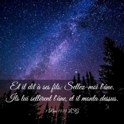 Picture 03 - 1 Rois 13:13 LSG - Et il dit à ses fils: Sellez-moi l'âne. Ils lui - Bible Verse Picture
