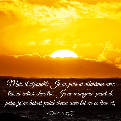 Picture 03 - 1 Rois 13:16 LSG - Mais il répondit: Je ne puis ni retourner avec - Bible Verse Picture