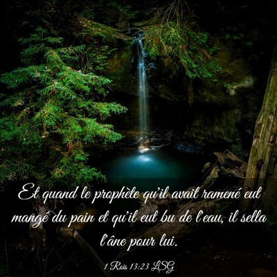 Picture 03 - 1 Rois 13:23 LSG - Et quand le prophète qu'il avait ramené eut - Bible Verse Picture