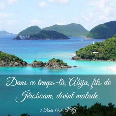 Picture 03 - 1 Rois 14:1 LSG - Dans ce temps-là, Abija, fils de Jéroboam, - Bible Verse Picture