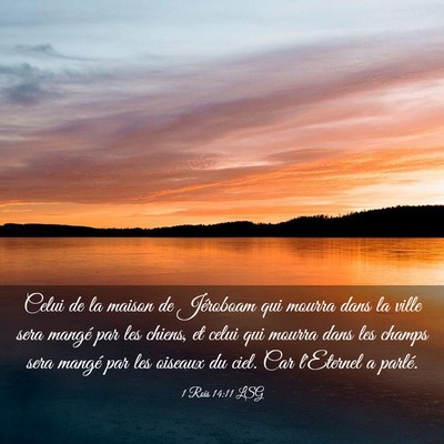 Picture 03 - 1 Rois 14:11 LSG - Celui de la maison de Jéroboam qui mourra dans - Bible Verse Picture