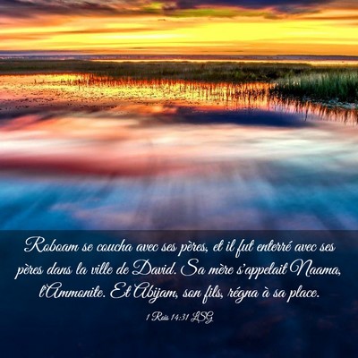 Picture 03 - 1 Rois 14:31 LSG - Roboam se coucha avec ses pères, et il fut - Bible Verse Picture