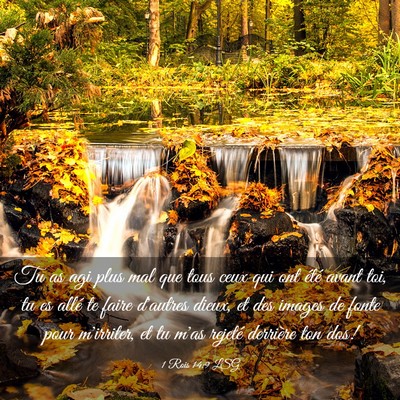 Picture 03 - 1 Rois 14:9 LSG - Tu as agi plus mal que tous ceux qui ont été - Bible Verse Picture