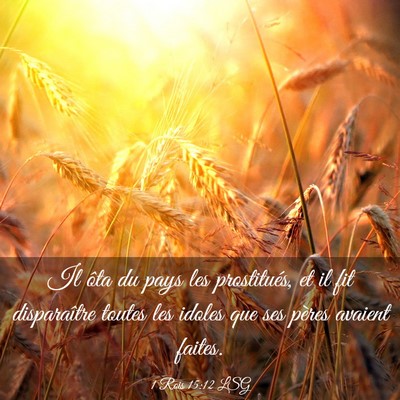 Picture 03 - 1 Rois 15:12 LSG - Il ôta du pays les prostitués, et il fit - Bible Verse Picture