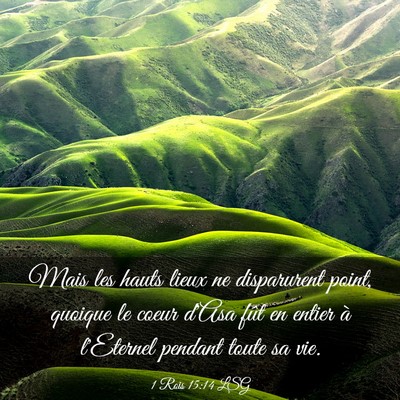 Picture 03 - 1 Rois 15:14 LSG - Mais les hauts lieux ne disparurent point, - Bible Verse Picture