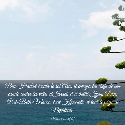 Picture 03 - 1 Rois 15:20 LSG - Ben-Hadad écouta le roi Asa; il envoya les chefs - Bible Verse Picture