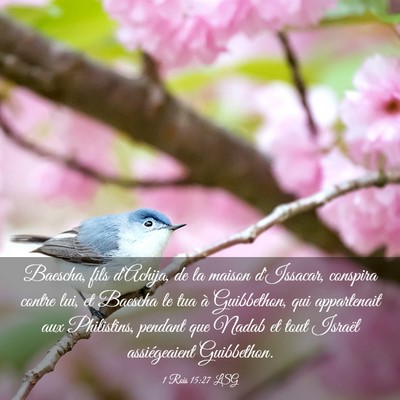 Picture 03 - 1 Rois 15:27 LSG - Baescha, fils d'Achija, de la maison d'Issacar, - Bible Verse Picture