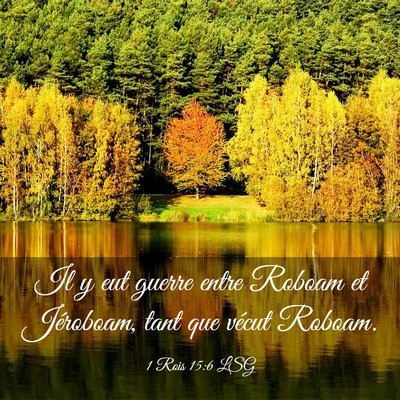 Picture 03 - 1 Rois 15:6 LSG - Il y eut guerre entre Roboam et Jéroboam, tant - Bible Verse Picture