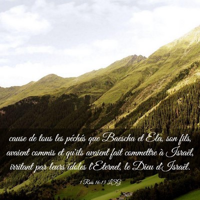 Picture 03 - 1 Rois 16:13 LSG - cause de tous les péchés que Baescha et Ela, - Bible Verse Picture