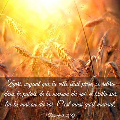 Picture 03 - 1 Rois 16:18 LSG - Zimri, voyant que la ville était prise, se - Bible Verse Picture