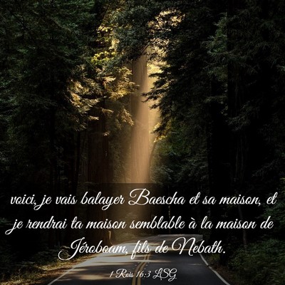 Picture 03 - 1 Rois 16:3 LSG - voici, je vais balayer Baescha et sa maison, et - Bible Verse Picture