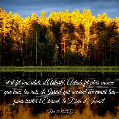 Picture 03 - 1 Rois 16:33 LSG - et il fit une idole d'Astarté. Achab fit plus - Bible Verse Picture