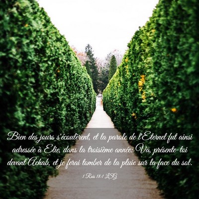 Picture 03 - 1 Rois 18:1 LSG - Bien des jours s'écoulèrent, et la parole de - Bible Verse Picture
