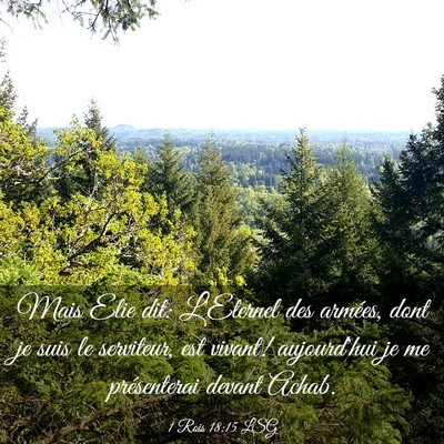 Picture 03 - 1 Rois 18:15 LSG - Mais Elie dit: L'Eternel des armées, dont je - Bible Verse Picture