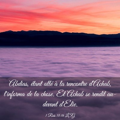 Picture 03 - 1 Rois 18:16 LSG - Abdias, étant allé à la rencontre d'Achab, - Bible Verse Picture