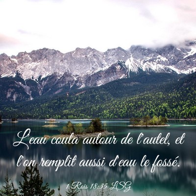 Picture 03 - 1 Rois 18:35 LSG - L'eau coula autour de l'autel, et l'on remplit - Bible Verse Picture
