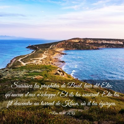 Picture 03 - 1 Rois 18:40 LSG - Saisissez les prophètes de Baal, leur dit Elie; - Bible Verse Picture