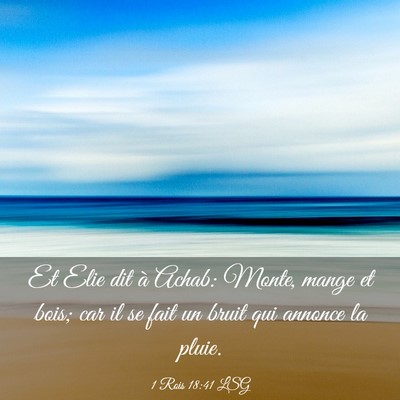 Picture 03 - 1 Rois 18:41 LSG - Et Elie dit à Achab: Monte, mange et bois; car - Bible Verse Picture