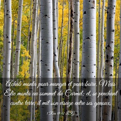 Picture 03 - 1 Rois 18:42 LSG - Achab monta pour manger et pour boire. Mais Elie - Bible Verse Picture