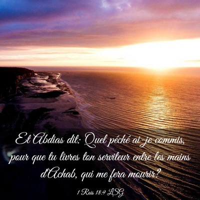 Picture 03 - 1 Rois 18:9 LSG - Et Abdias dit: Quel péché ai-je commis, pour - Bible Verse Picture