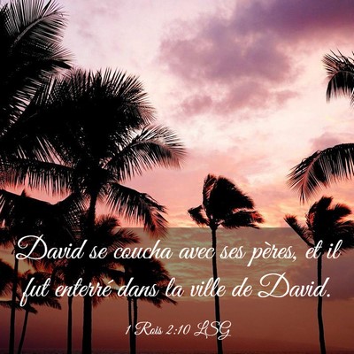 Picture 03 - 1 Rois 2:10 LSG - David se coucha avec ses pères, et il fut - Bible Verse Picture