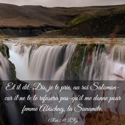 Picture 03 - 1 Rois 2:17 LSG - Et il dit: Dis, je te prie, au roi Salomon-car il - Bible Verse Picture