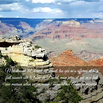 Picture 03 - 1 Rois 2:24 LSG - Maintenant, l'Eternel est vivant, lui qui m'a - Bible Verse Picture