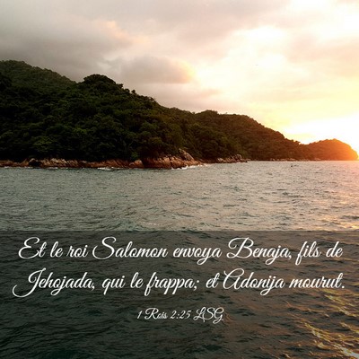 Picture 03 - 1 Rois 2:25 LSG - Et le roi Salomon envoya Benaja, fils de - Bible Verse Picture