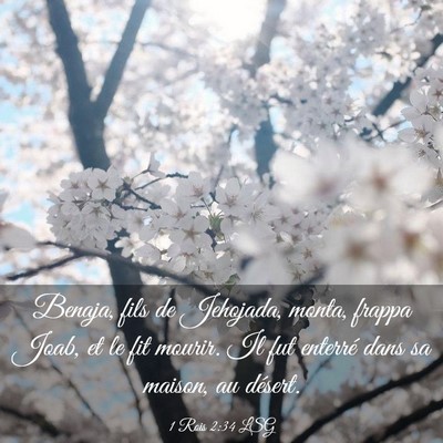 Picture 03 - 1 Rois 2:34 LSG - Benaja, fils de Jehojada, monta, frappa Joab, et - Bible Verse Picture