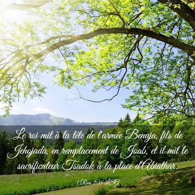 Picture 03 - 1 Rois 2:35 LSG - Le roi mit à la tête de l'armée Benaja, fils - Bible Verse Picture
