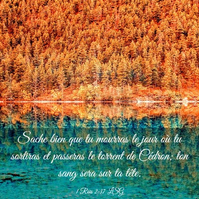 Picture 03 - 1 Rois 2:37 LSG - Sache bien que tu mourras le jour où tu sortiras - Bible Verse Picture