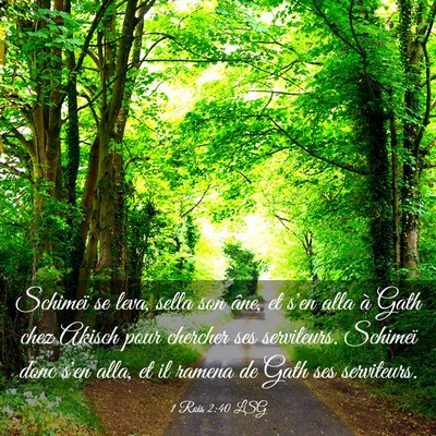 Picture 03 - 1 Rois 2:40 LSG - Schimeï se leva, sella son âne, et s'en alla à - Bible Verse Picture