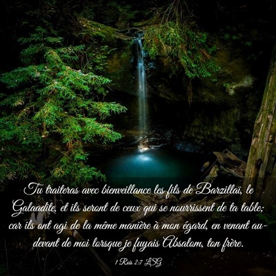 Picture 03 - 1 Rois 2:7 LSG - Tu traiteras avec bienveillance les fils de - Bible Verse Picture