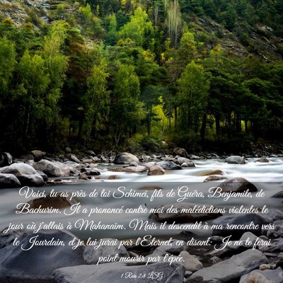 Picture 03 - 1 Rois 2:8 LSG - Voici, tu as près de toi Schimeï, fils de - Bible Verse Picture
