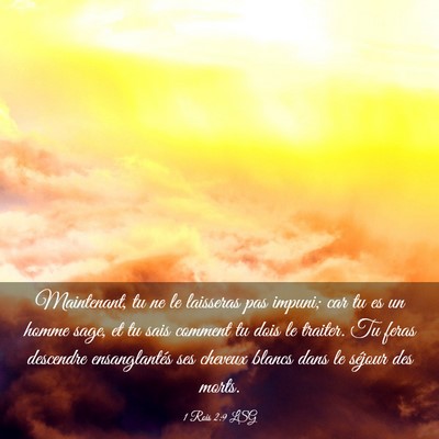 Picture 03 - 1 Rois 2:9 LSG - Maintenant, tu ne le laisseras pas impuni; car tu - Bible Verse Picture