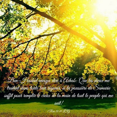 Picture 03 - 1 Rois 20:10 LSG - Ben-Hadad envoya dire à Achab: Que les dieux me - Bible Verse Picture