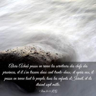 Picture 03 - 1 Rois 20:15 LSG - Alors Achab passa en revue les serviteurs des - Bible Verse Picture