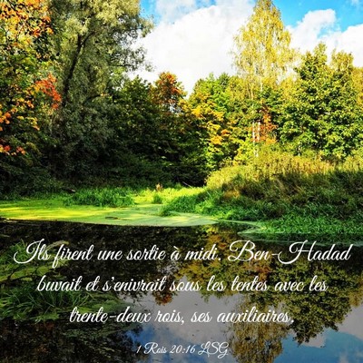 Picture 03 - 1 Rois 20:16 LSG - Ils firent une sortie à midi. Ben-Hadad buvait - Bible Verse Picture