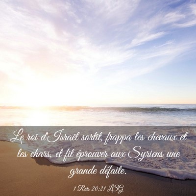 Picture 03 - 1 Rois 20:21 LSG - Le roi d'Israël sortit, frappa les chevaux et - Bible Verse Picture