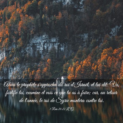 Picture 03 - 1 Rois 20:22 LSG - Alors le prophète s'approcha du roi d'Israël, - Bible Verse Picture