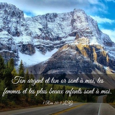 Picture 03 - 1 Rois 20:3 LSG - Ton argent et ton or sont à moi, tes femmes et - Bible Verse Picture