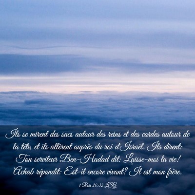 Picture 03 - 1 Rois 20:32 LSG - Ils se mirent des sacs autour des reins et des - Bible Verse Picture