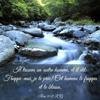 Picture 03 - 1 Rois 20:37 LSG - Il trouva un autre homme, et il dit: Frappe-moi, - Bible Verse Picture