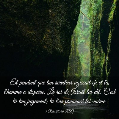 Picture 03 - 1 Rois 20:40 LSG - Et pendant que ton serviteur agissait çà et - Bible Verse Picture