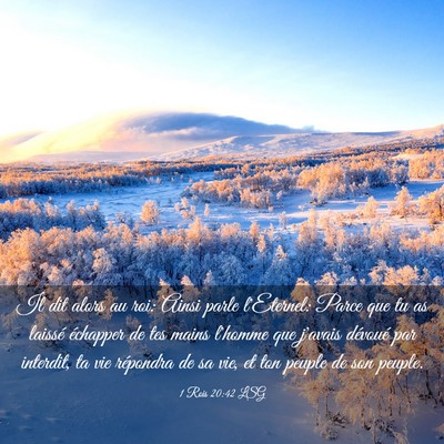 Picture 03 - 1 Rois 20:42 LSG - Il dit alors au roi: Ainsi parle l'Eternel: Parce - Bible Verse Picture