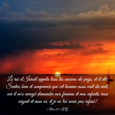 Picture 03 - 1 Rois 20:7 LSG - Le roi d'Israël appela tous les anciens du pays, - Bible Verse Picture