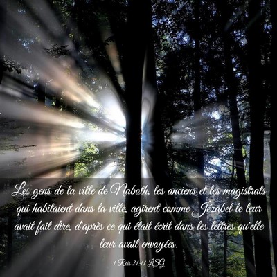 Picture 03 - 1 Rois 21:11 LSG - Les gens de la ville de Naboth, les anciens et - Bible Verse Picture